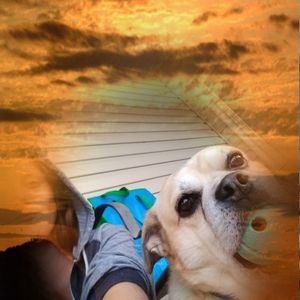 Meet your Posher, Katy